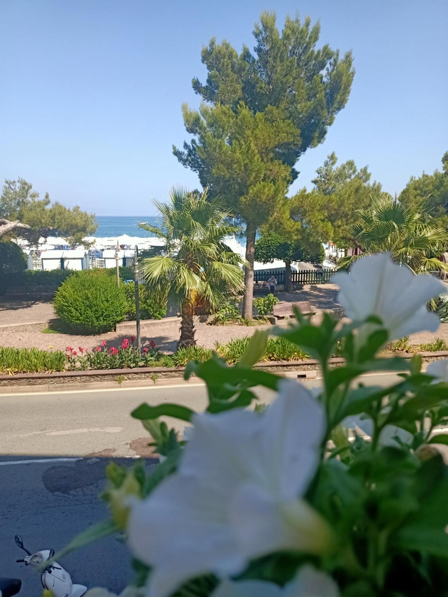 ארנצאנו Hotel Serena מראה חיצוני תמונה